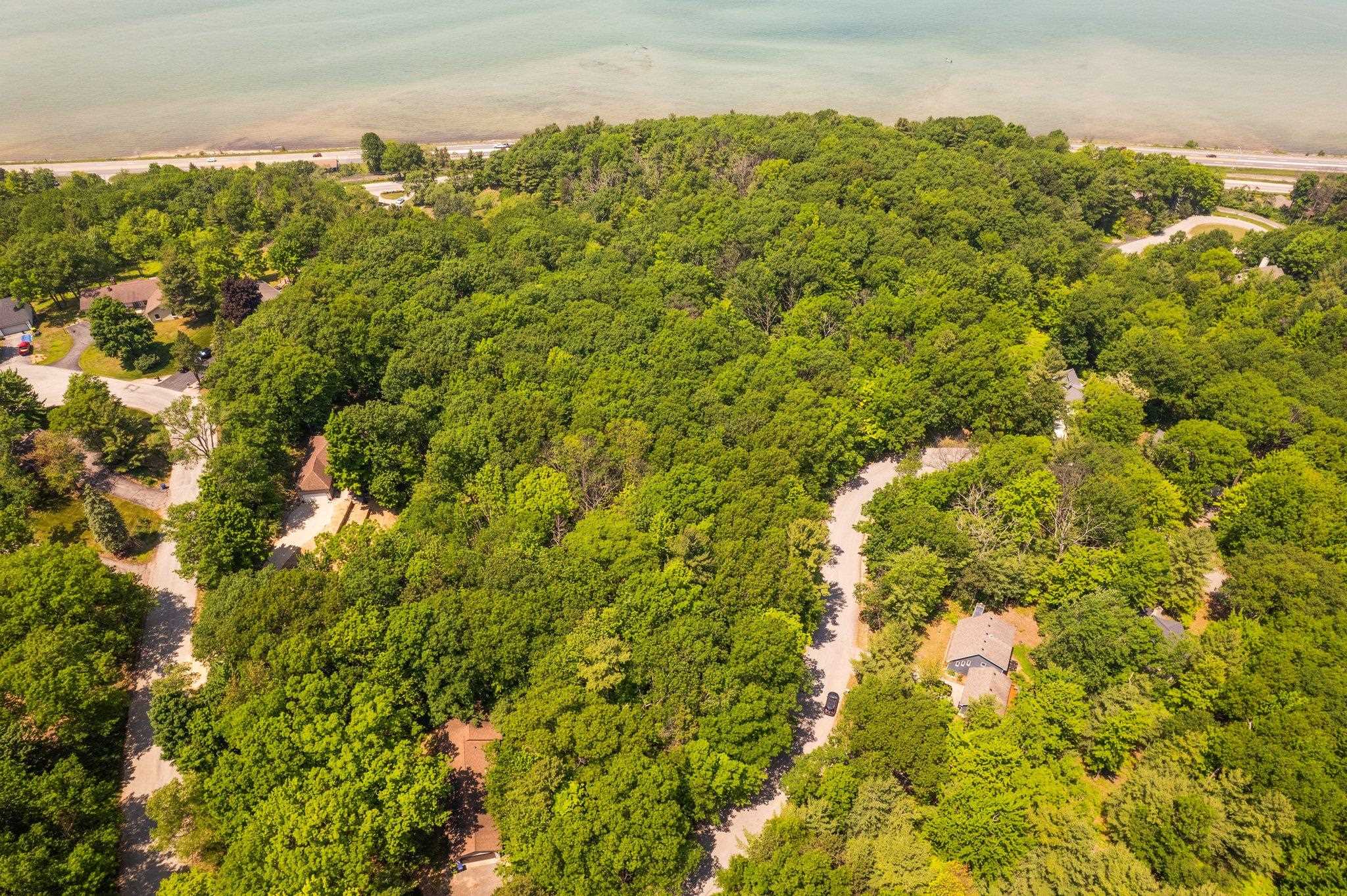 4513 Weathering Heights Road