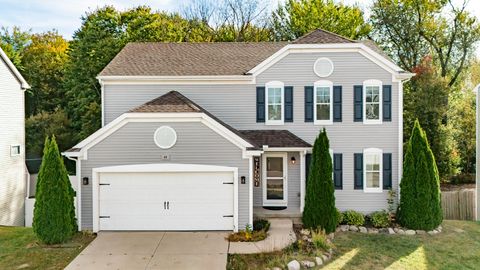 49 Lake Ridge Drive Aurelius Township MI 48854