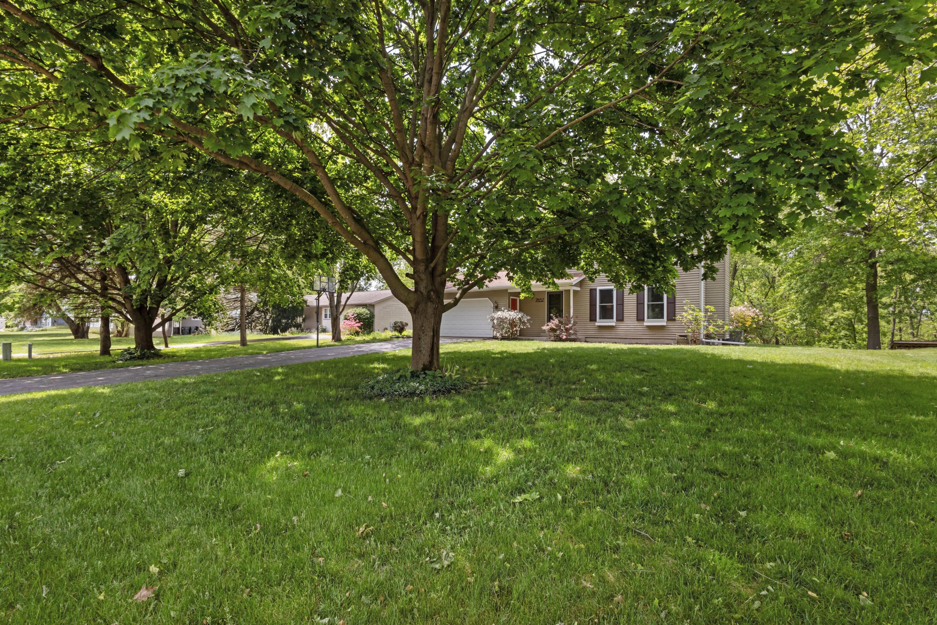 7657 Cottonwood