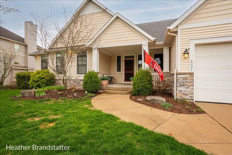 457 Village Springs Drive SE Ada Township MI 49301