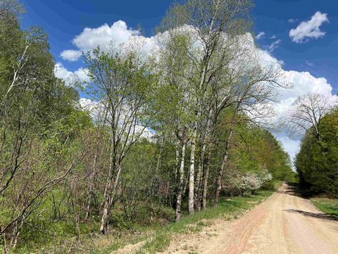 TBD Pesek Road South Arm Township Charlevoix MI 49727