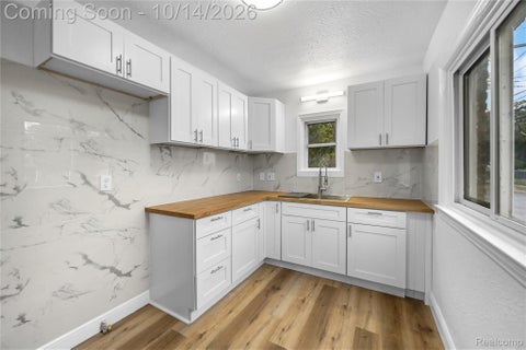 Tiny photo for 16265 Ardmore Street, Detroit City, MI 48235 (MLS # 20261083151)
