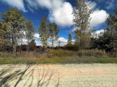 12274 Griffin Road Riley Township MI 48041