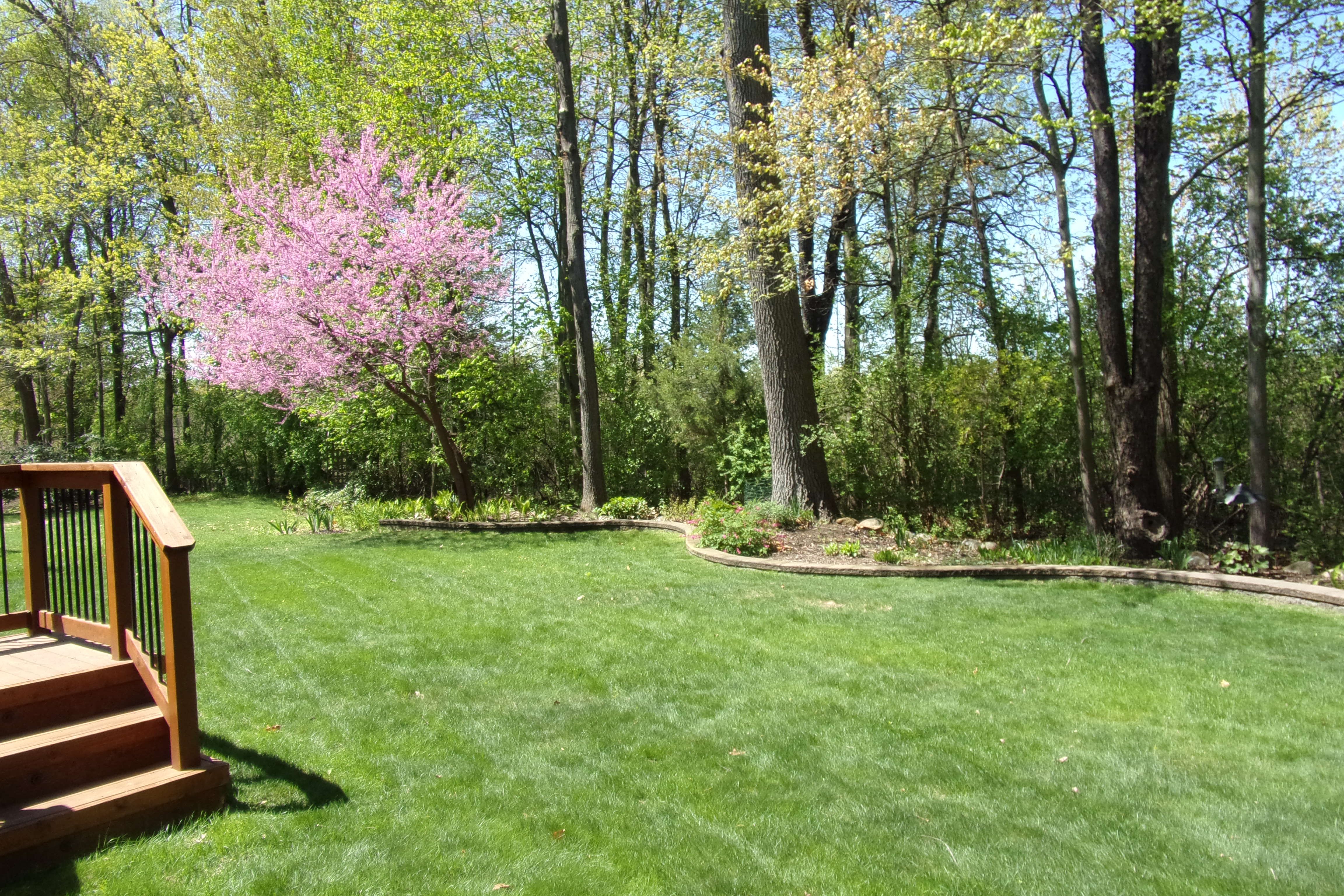 3163 W RIDGE Court