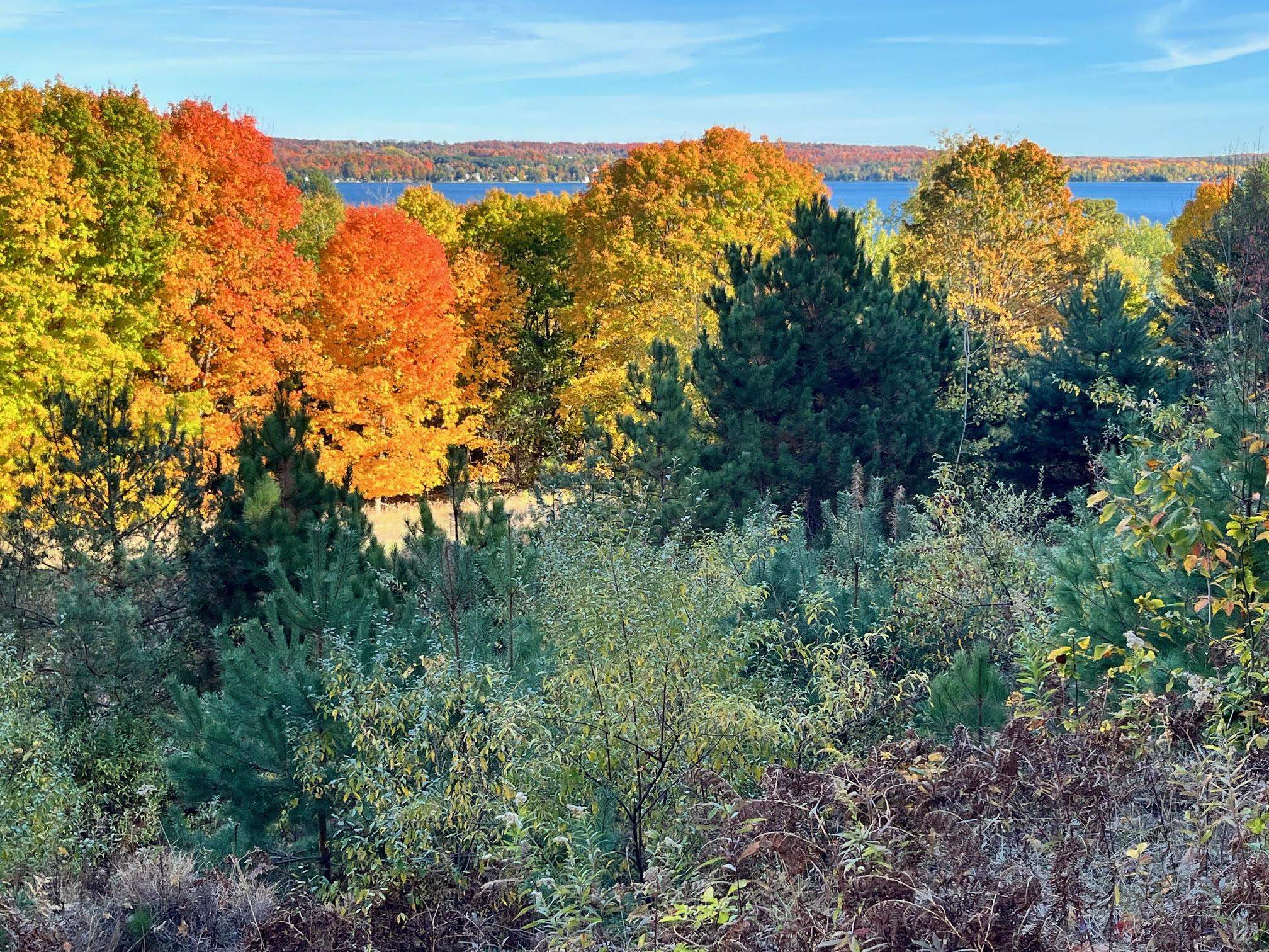 00 E Hidden Beech Drive