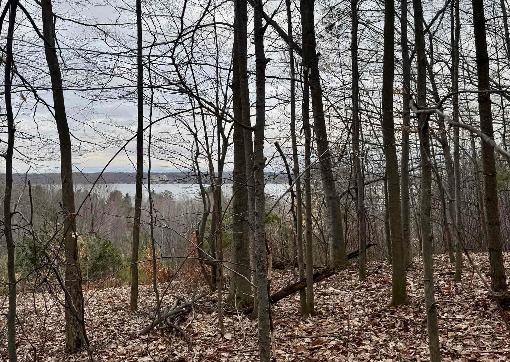 00 E Hidden Beech Drive