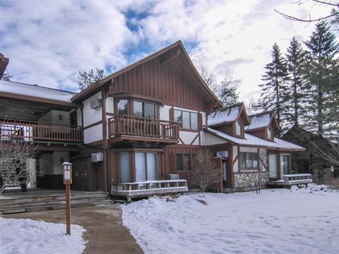 7825 #446-447 Washtenaw Drive Weldon Township MI 49683