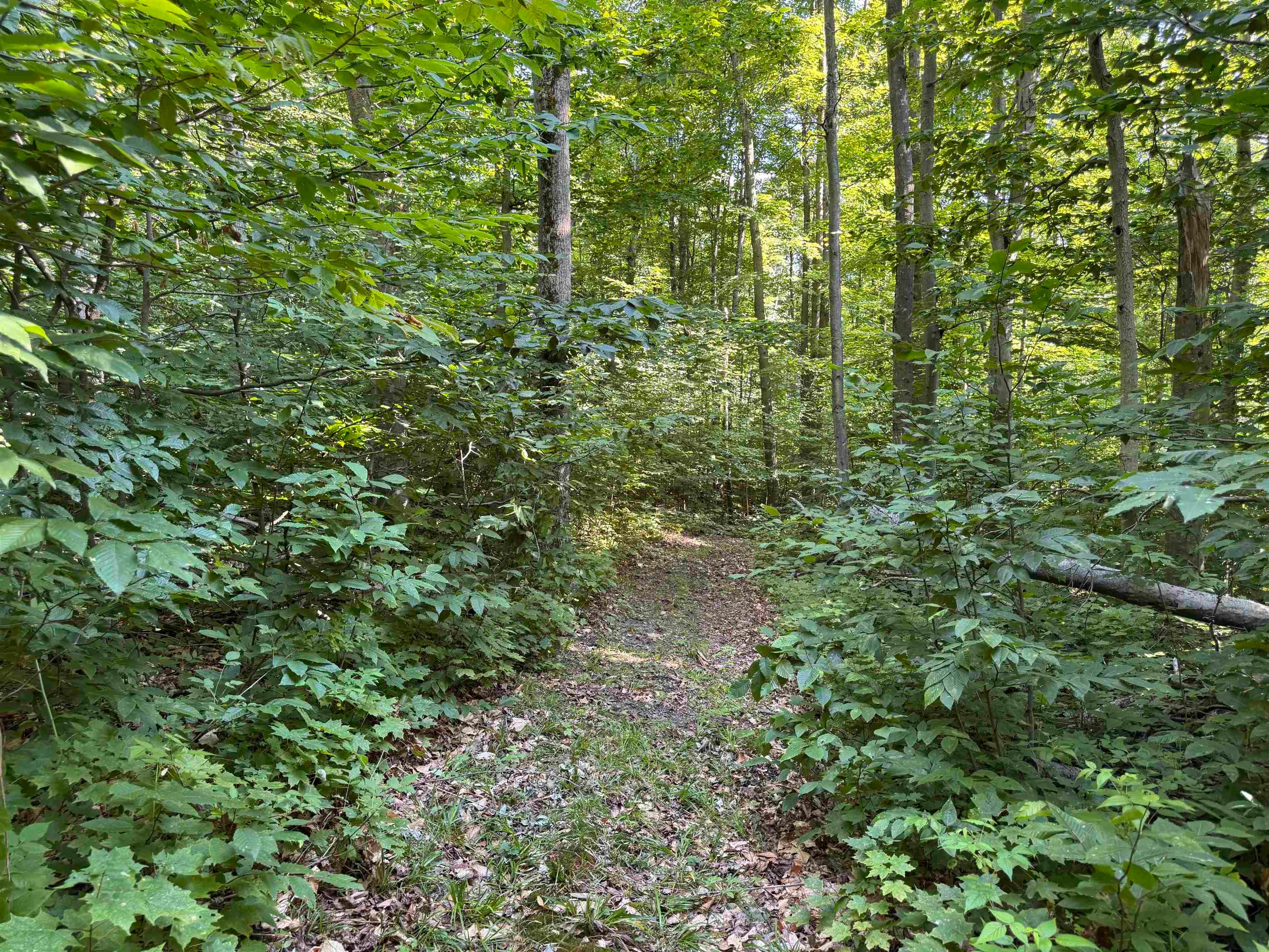 0 Musser Road