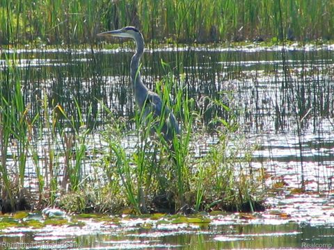 Tiny photo for 1491 Division Drive, Hartland Township, MI 48353 (MLS # 20261003117)