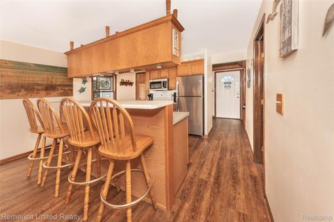 Tiny photo for 1491 Division Drive, Hartland Township, MI 48353 (MLS # 20261003117)