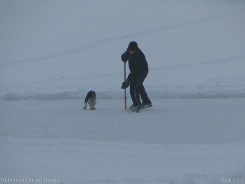 Tiny photo for 1491 Division Drive, Hartland Township, MI 48353 (MLS # 20261003117)