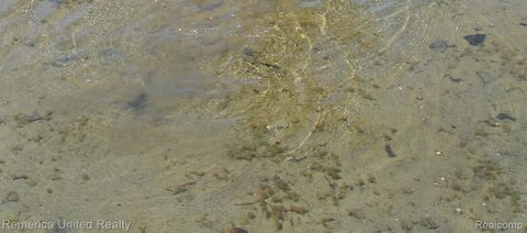 Tiny photo for 1491 Division Drive, Hartland Township, MI 48353 (MLS # 20261003117)