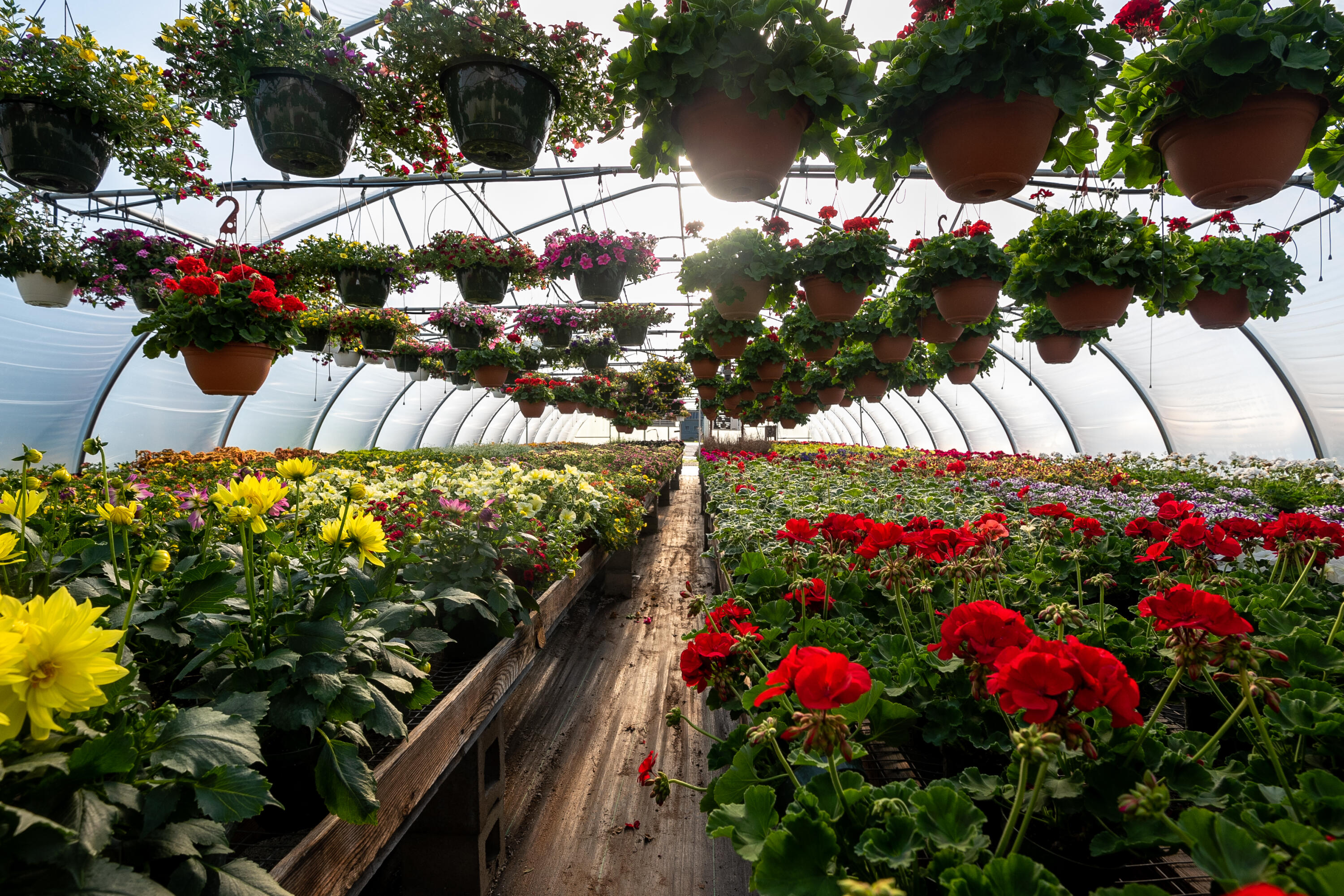 8627 Cleveland Avenue