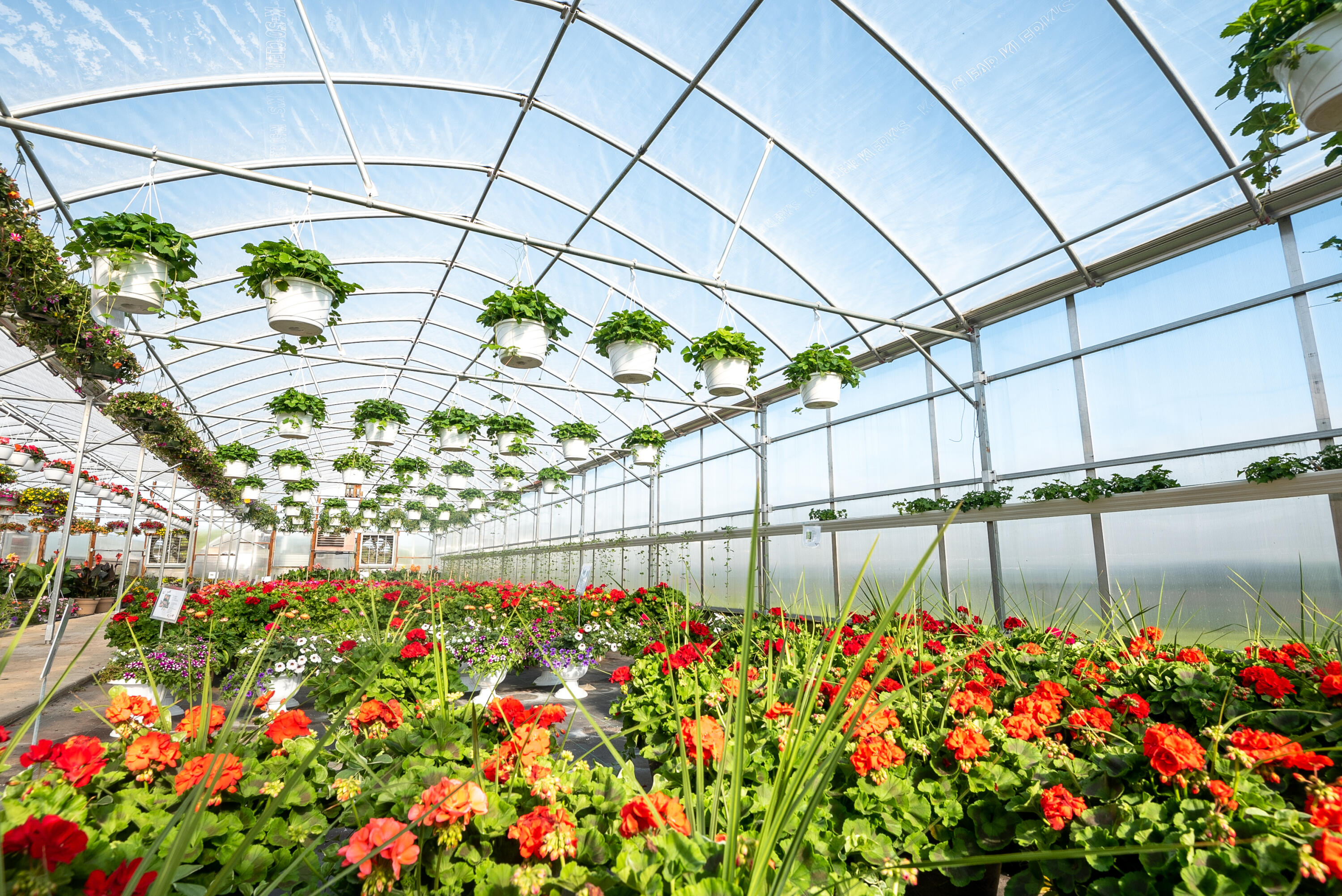 8627 Cleveland Avenue