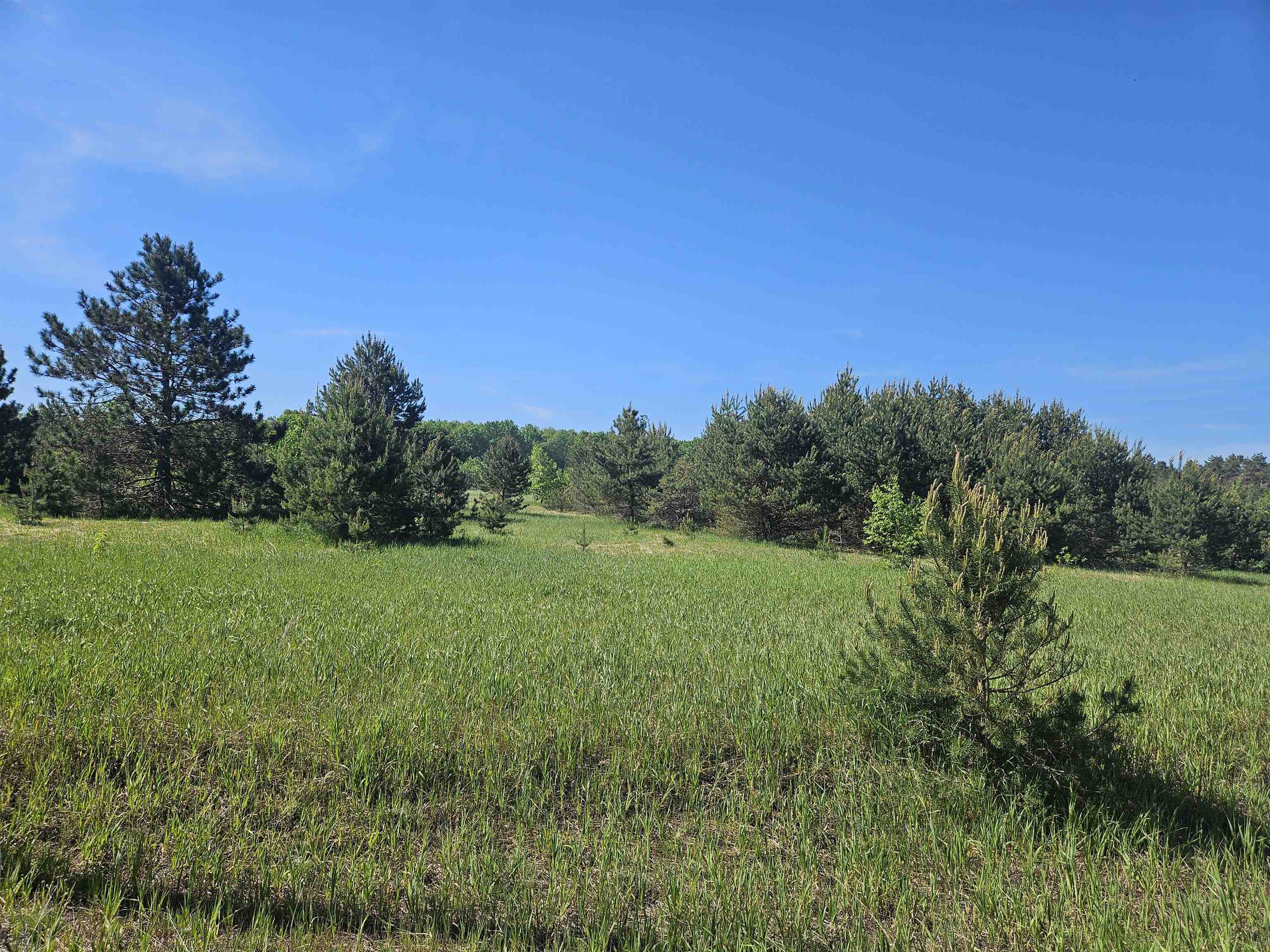 V/L Parcel B SE Grass Lake Road