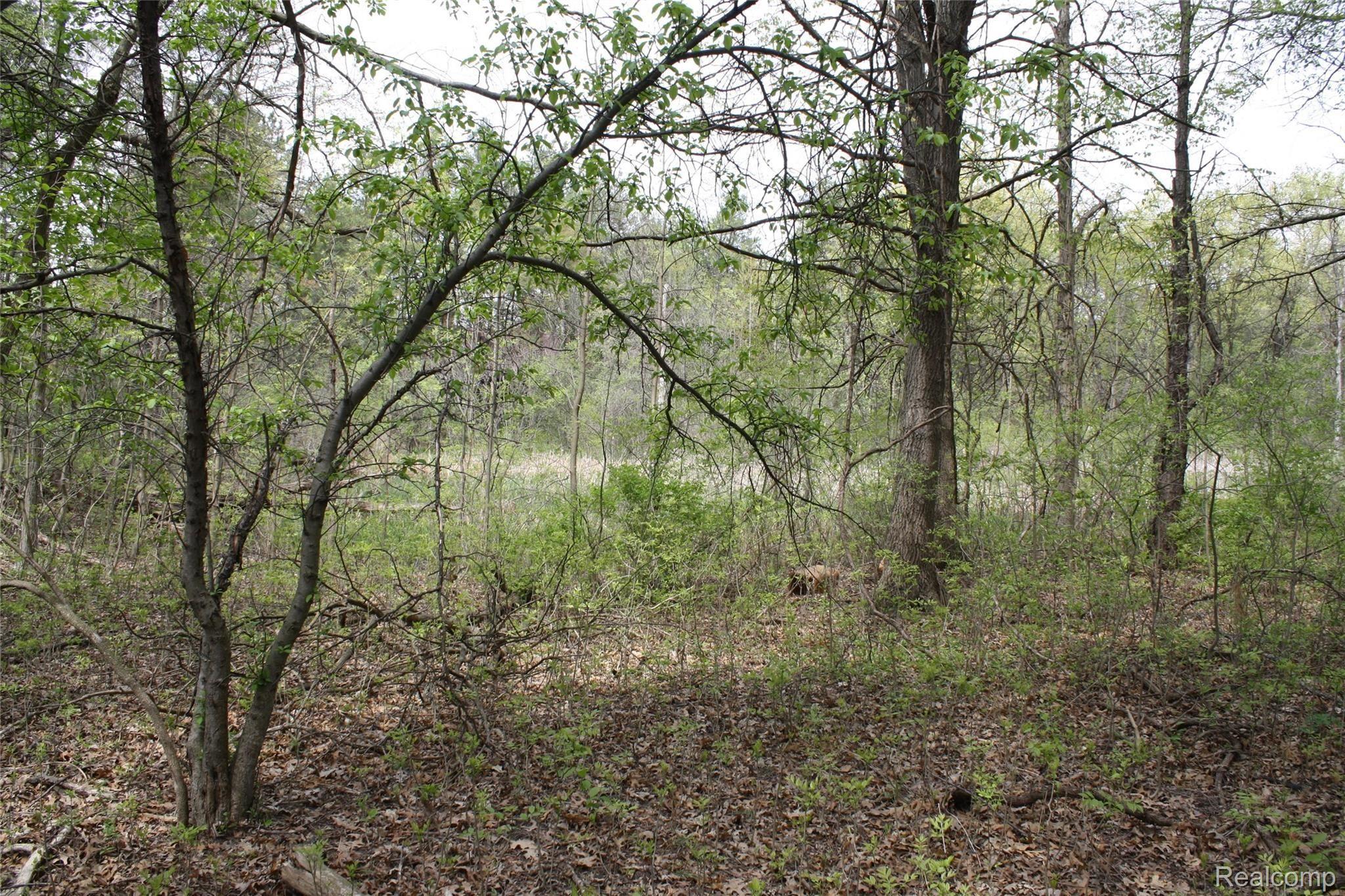 00 VL2 Waterside Lane