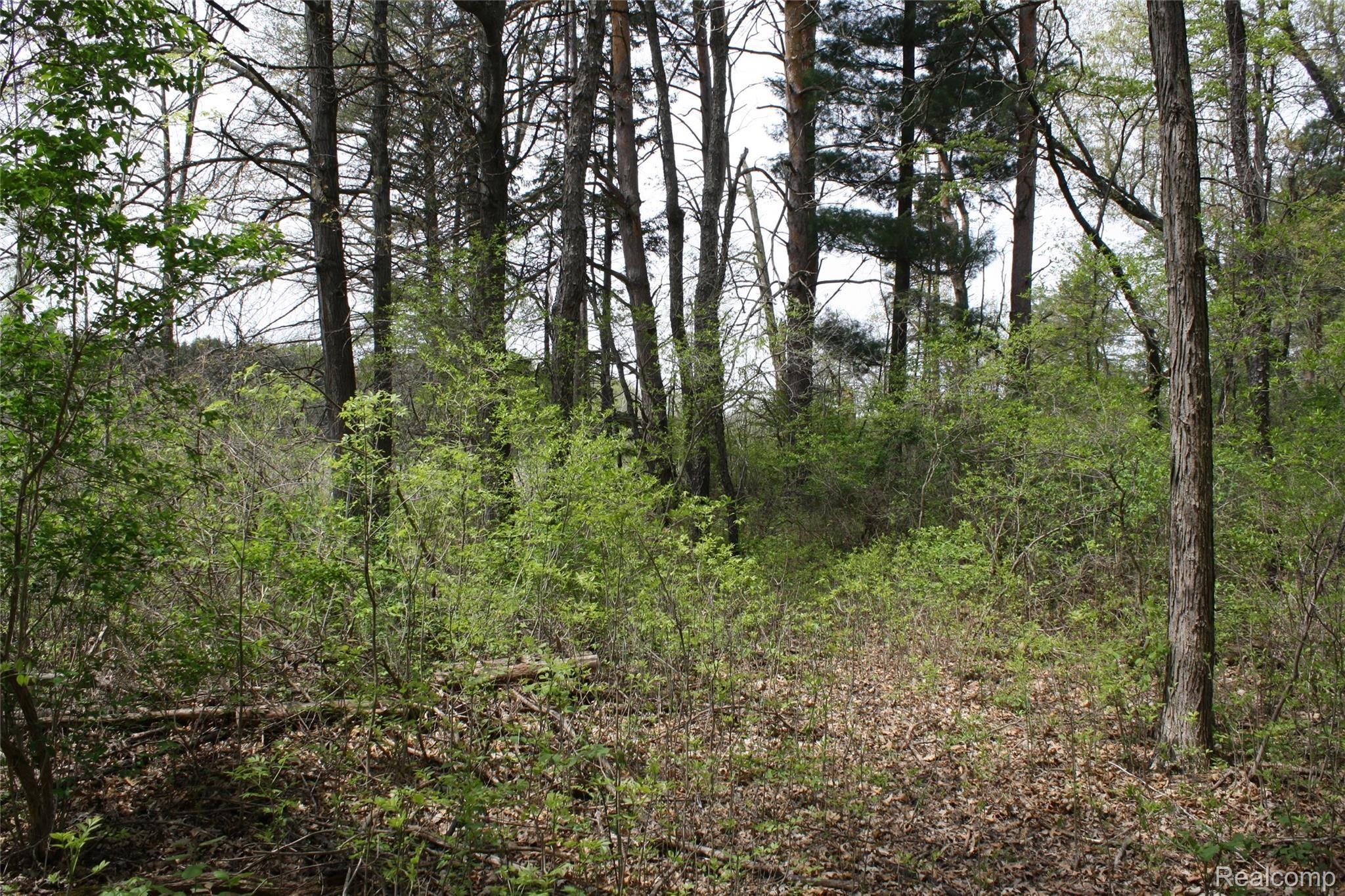 00 VL2 Waterside Lane