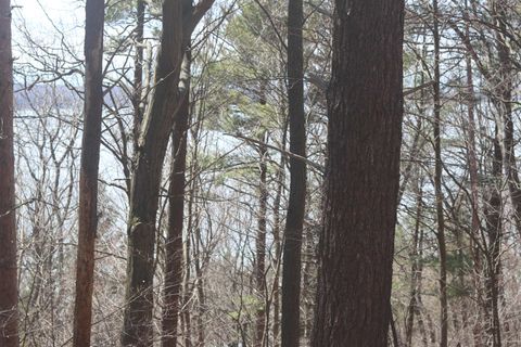 lot 5 Crystal View Lake Township MI 49617