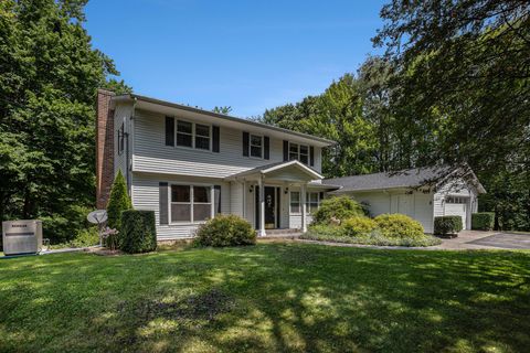 10425 E Q Avenue Pavilion Township MI 49088