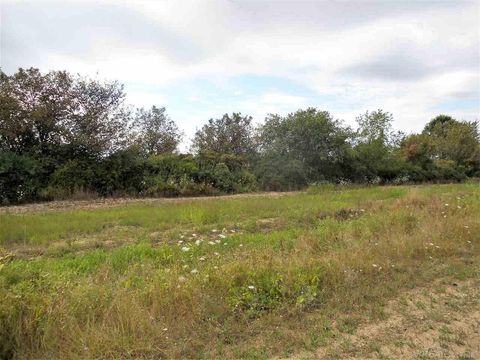 0 WINDMILL Lane Imlay Township MI 48444