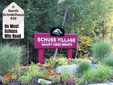20 W Schuss Mountain Drive Custer Township Antrim MI 49615