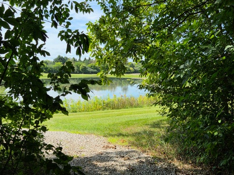 Tiny photo for 7538 Wood Brook Road, Lodi Township, MI 48103 (MLS # 81026045689)