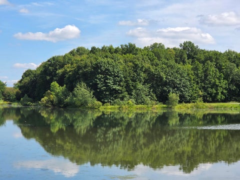 Tiny photo for 7538 Wood Brook Road, Lodi Township, MI 48103 (MLS # 81026045689)