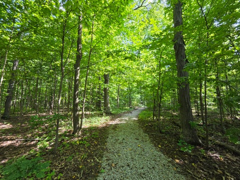 Tiny photo for 7538 Wood Brook Road, Lodi Township, MI 48103 (MLS # 81026045689)