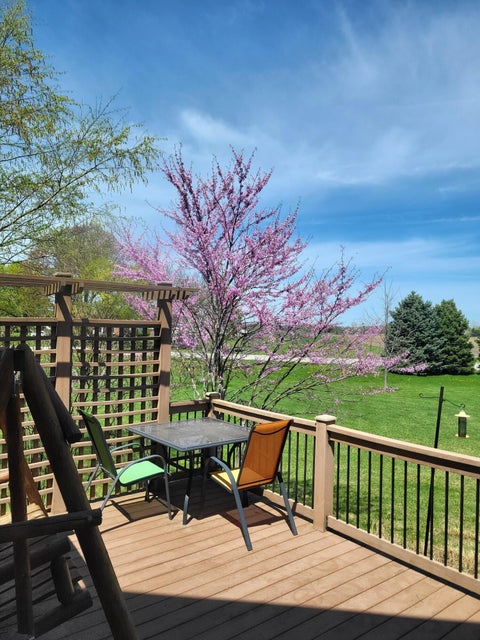 Tiny photo for 7538 Wood Brook Road, Lodi Township, MI 48103 (MLS # 81026045689)