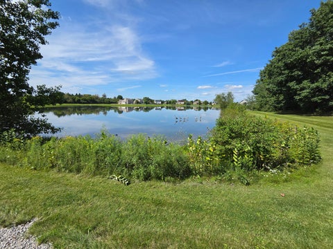 Tiny photo for 7538 Wood Brook Road, Lodi Township, MI 48103 (MLS # 81026045689)