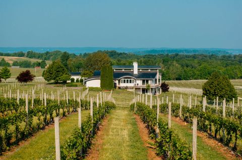 2721 Nelson Road Peninsula Township MI 49686