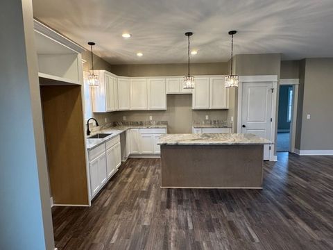 A home in DrydenTownship_Lapeer