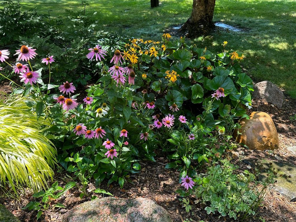 listing image 56