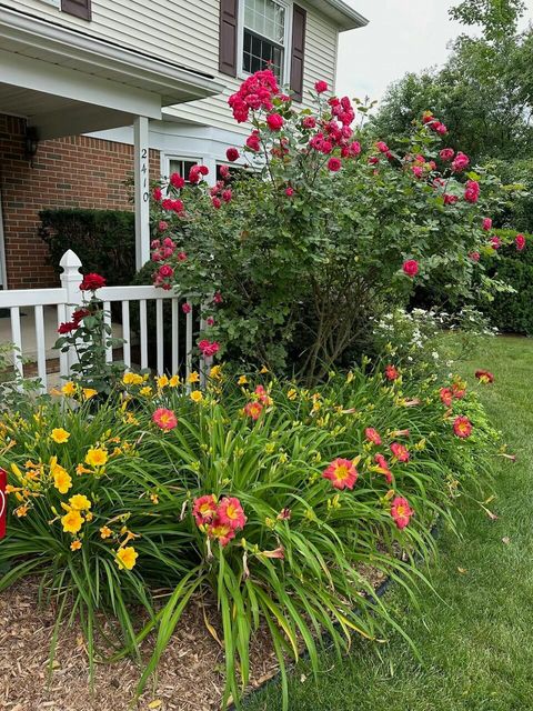 listing image 59