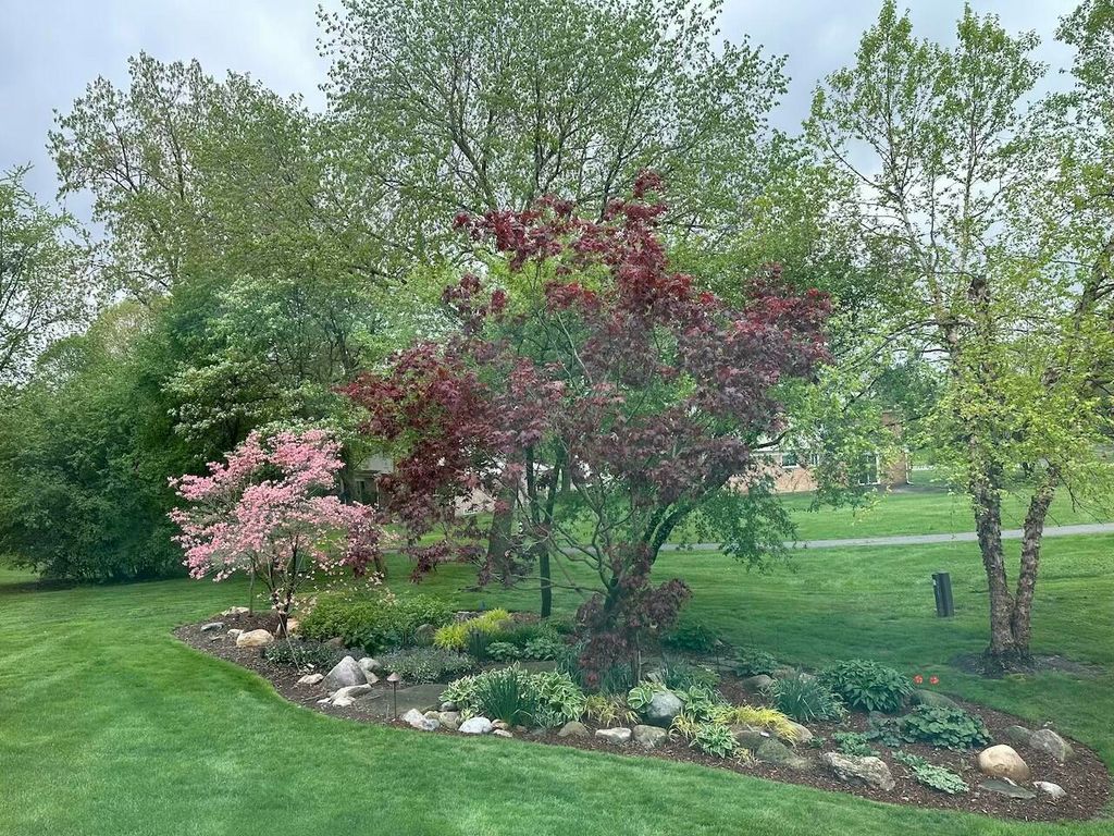 listing image 50