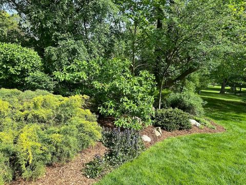 listing image 51
