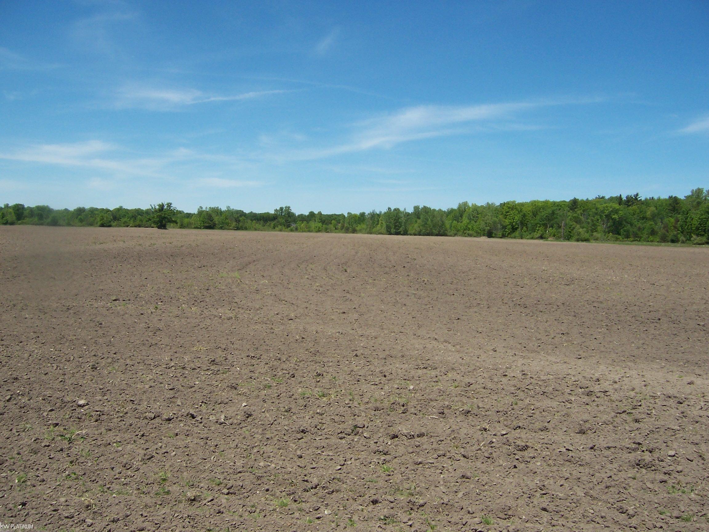 Lot 7 Lapeer Rd Road
