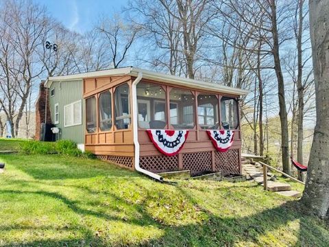 14234 Maier Drive Odessa Township MI 48849