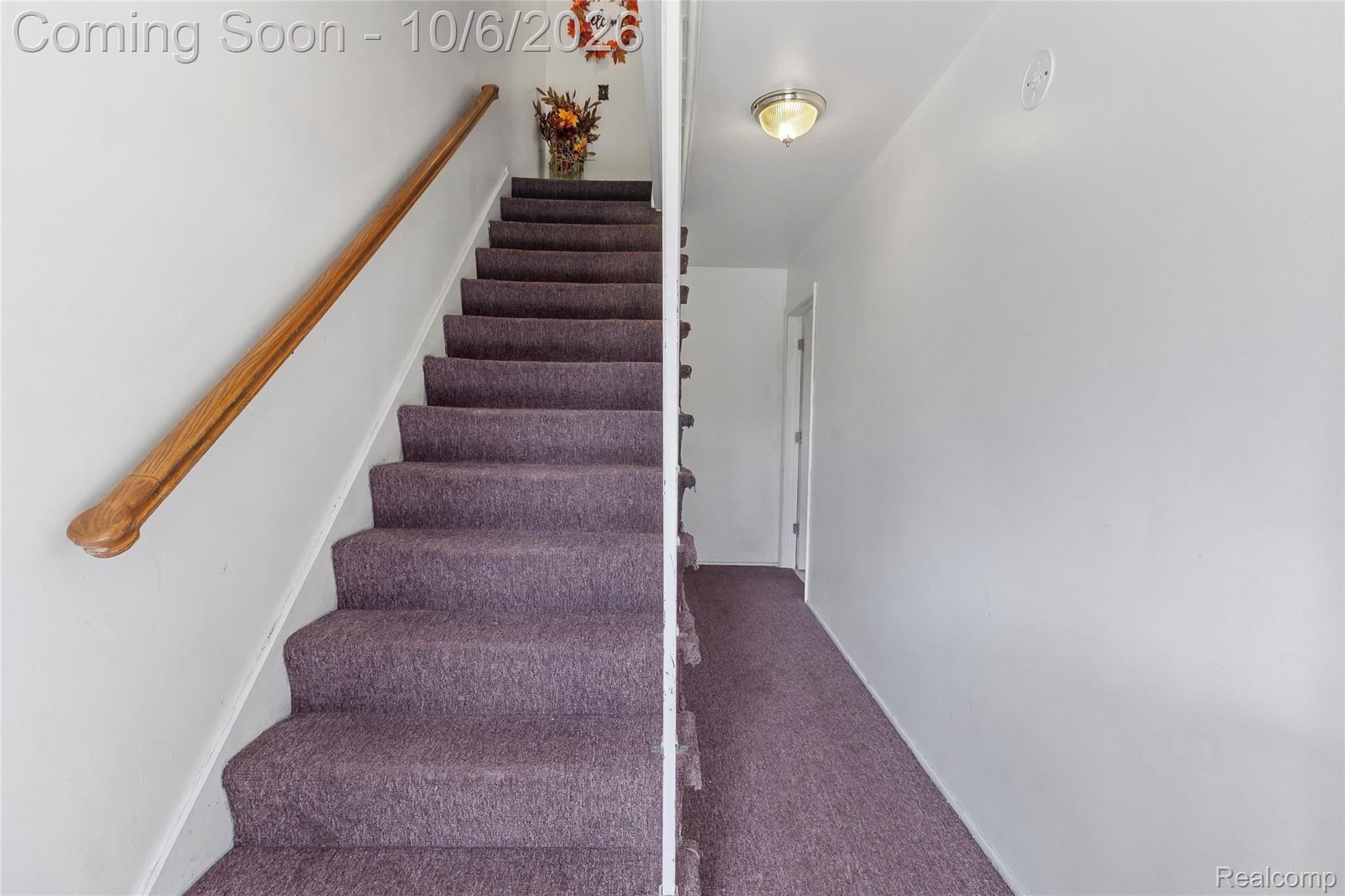 3423 Brimfield Drive