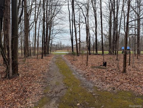 Tiny photo for 9345 Weber Road, Columbus Township, MI 48063 (MLS # 20261039053)