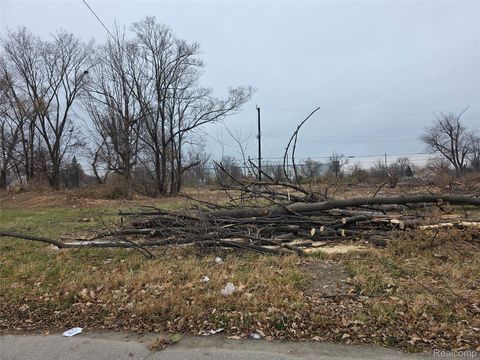 528 Adeline Street Detroit City MI 48203