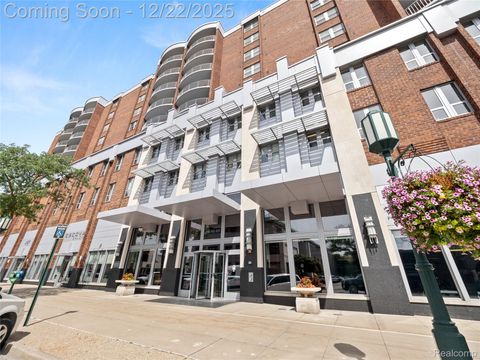 411 S Old Woodward Avenue 924 Birmingham City MI 48009