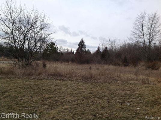 ADDRESS PRIVATE, HOWELL TOWNSHIP, MI  - Image 0b4e484206f63bf509e7e494b15ef3e2/1557618568