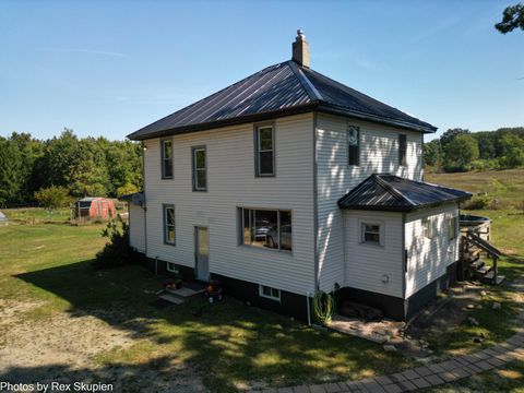 11664 N Gordon Avenue Lilley Township MI 49309