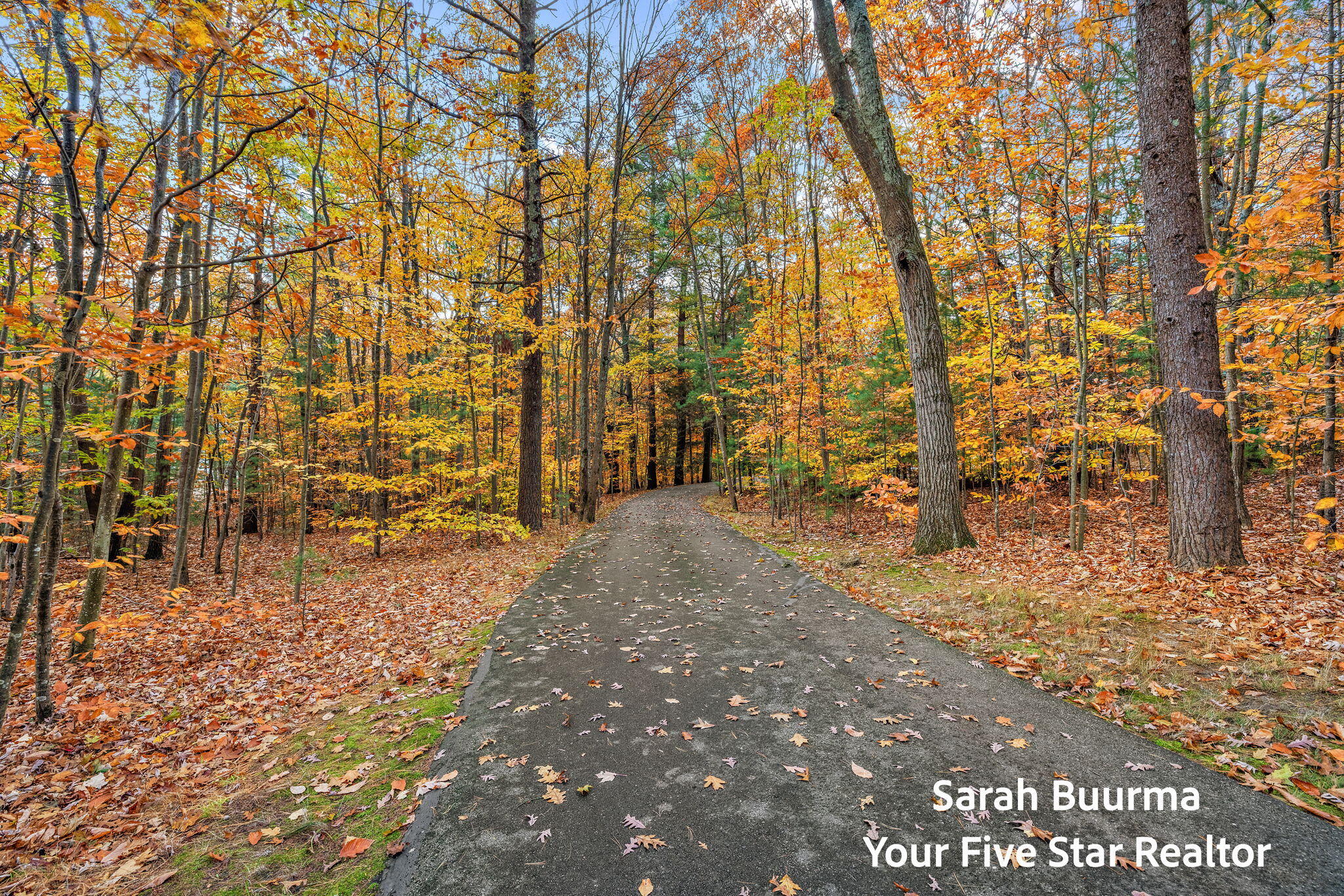 6035 Scenic Woods Circle N