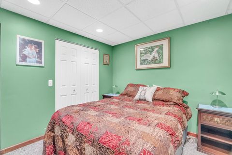 A home in RileyTownship_StClair