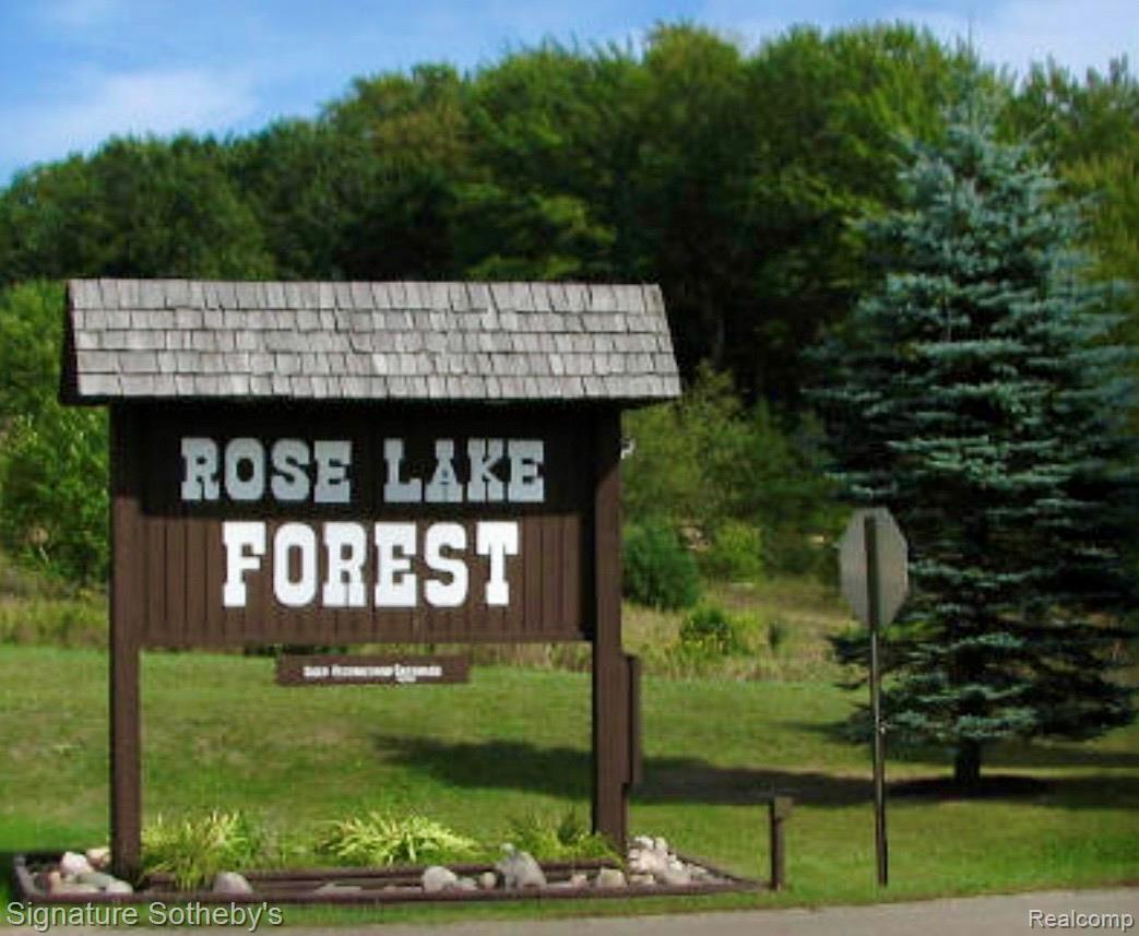229 Forest Trail