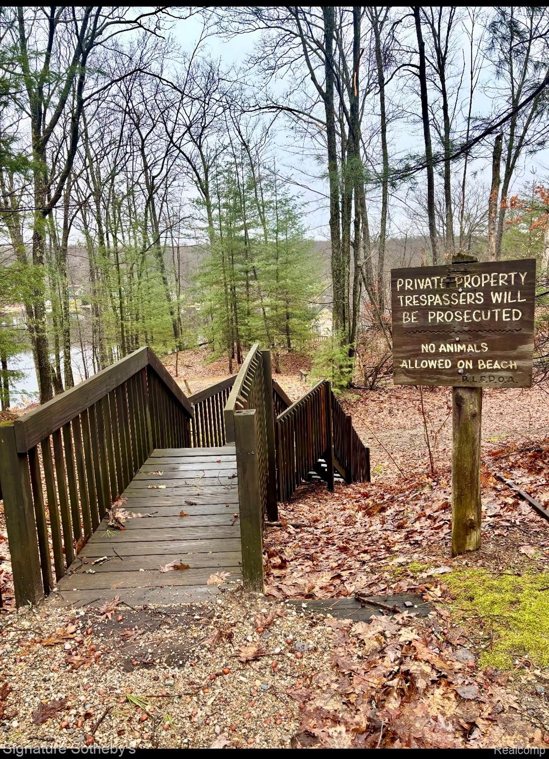 229 Forest Trail