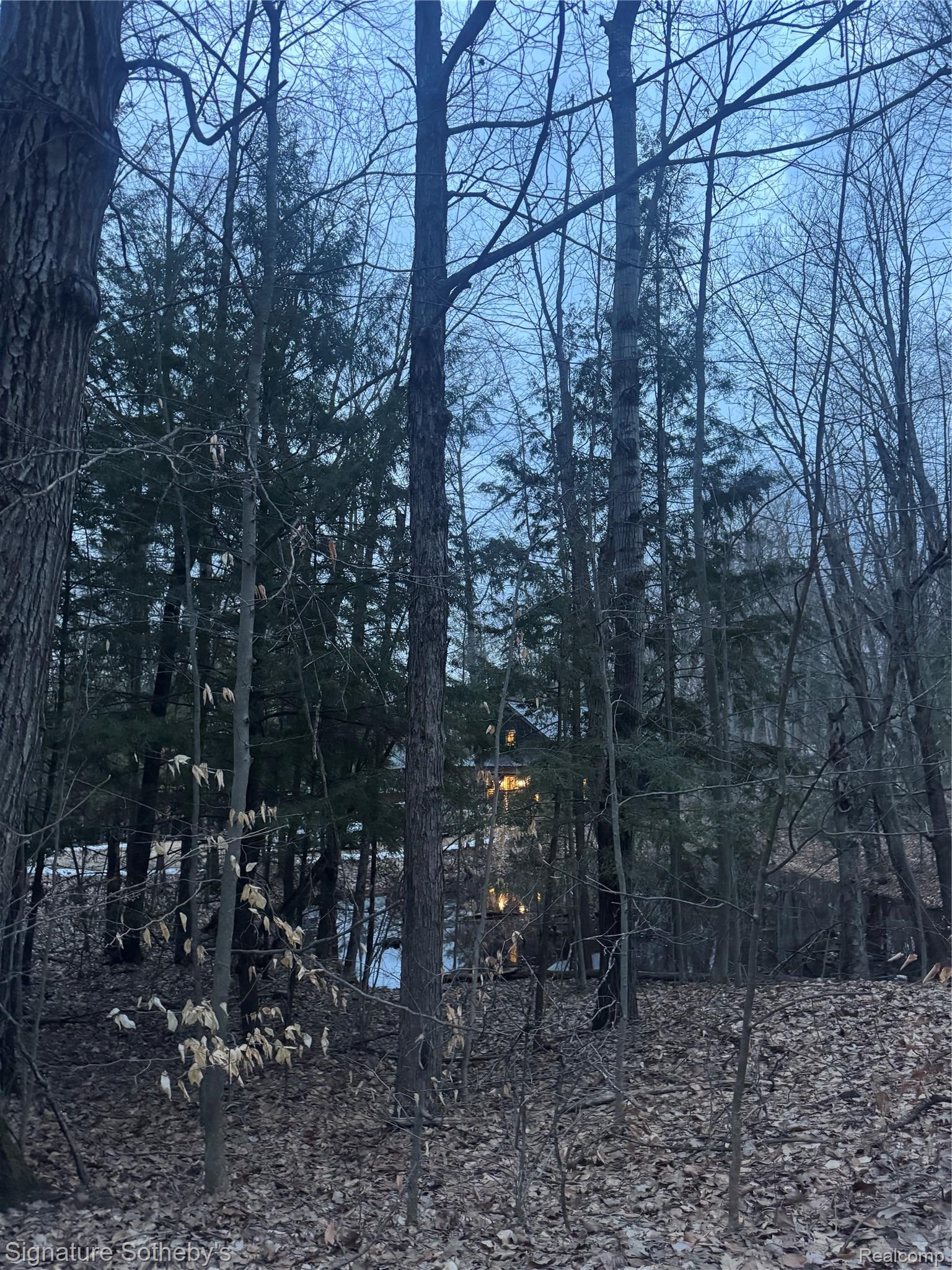 229 Forest Trail