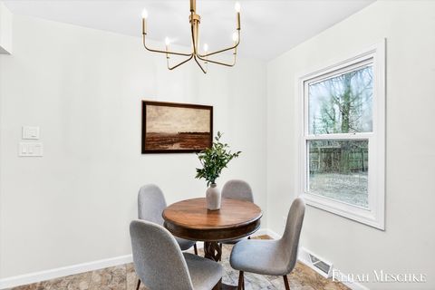 Tiny photo for 206 W Nelson Street, Hastings City, MI 49058 (MLS # 65026013453)